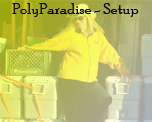 PolyParadise Setup - '07