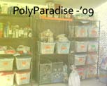 PolyParadise