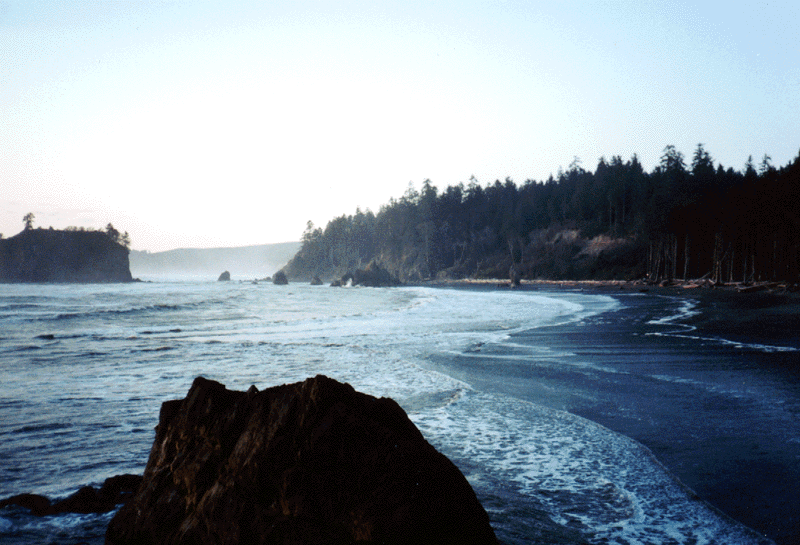 Olympic coast sunset